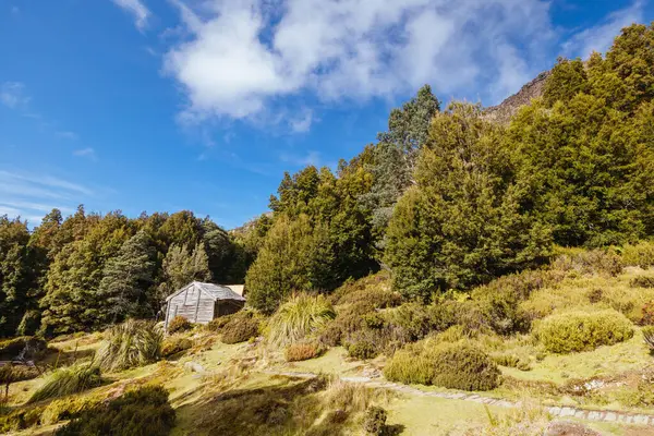 Patrick Joseph Paddy Hartnett tarafından Overland Pisti 'nde inşa edilen Iconic Du Cain Hut bölgedeki en eski yapıdır. Sıcak bir sonbahar sabahı, Cradle Mountain, Tazmanya, Avustralya 'da çekilmiş.