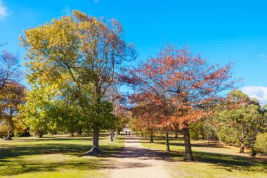 Seawinds Garden, Arthurs Koltuk Parkı 'nın bir parçası olarak sonbaharda açık bir günde Mornington Yarımadası, Victoria, Avustralya
