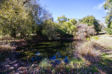Seawinds Garden, Arthurs Koltuk Parkı 'nın bir parçası olarak sonbaharda açık bir günde Mornington Yarımadası, Victoria, Avustralya