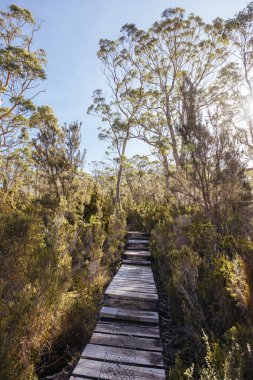 Cradle Dağı, Tazmanya, Avustralya 'da, sıcak bir sonbahar öğleden sonrasında Du Cane Dağları' ndan geçen Overland Track manzarası