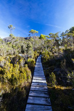 Cradle Dağı, Tazmanya, Avustralya 'da, sıcak bir sonbahar öğleden sonrasında Du Cane Dağları' ndan geçen Overland Track manzarası