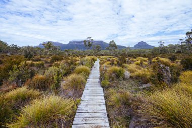 Beşik Dağı, Tazmanya, Avustralya 'da sıcak bir sonbahar sabahı Narcissus Hut yakınlarındaki tahta kaldırımlar ve manzara manzarası