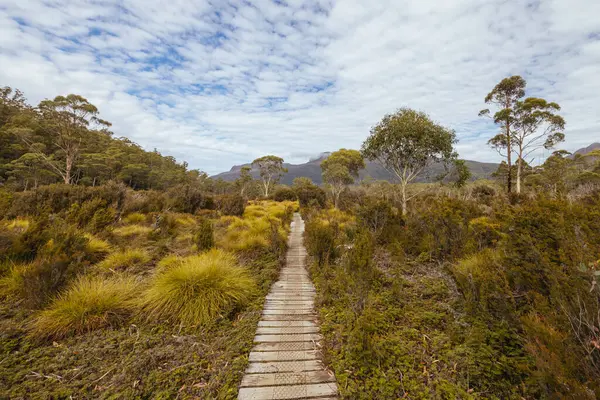 Beşik Dağı, Tazmanya, Avustralya 'da sıcak bir sonbahar sabahı Narcissus Hut yakınlarındaki tahta kaldırımlar ve manzara manzarası