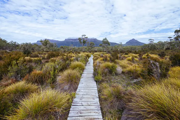 Beşik Dağı, Tazmanya, Avustralya 'da sıcak bir sonbahar sabahı Narcissus Hut yakınlarındaki tahta kaldırımlar ve manzara manzarası