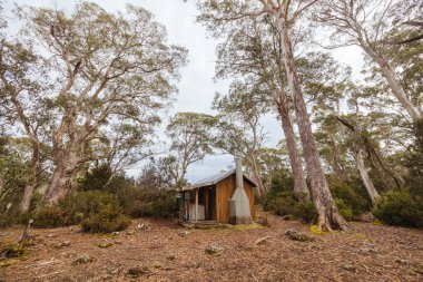 Overland Yolu 'ndaki Iconic Narcissus Hut. Sıcak bir sonbahar sabahı, Cradle Mountain, Tazmanya, Avustralya 'da çekilmiş.