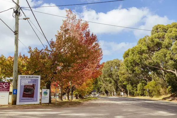 Kızıl Tepe, Victoria, Avustralya 'daki Mornington Yarımadasında güneşli bir sonbahar sabahı