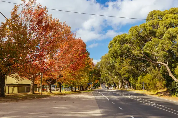 Kızıl Tepe, Victoria, Avustralya 'daki Mornington Yarımadasında güneşli bir sonbahar sabahı