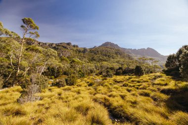 Rodway Gölü, Avustralya 'nın Tazmanya şehrinde sıcak bir sonbahar sabahı Beşik Dağı' nın doğu yüzüne doğru bakıyor.