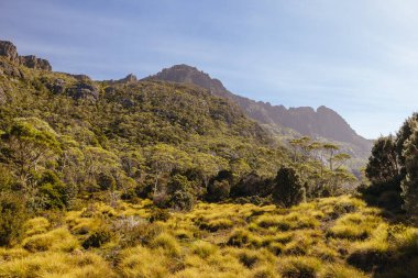 Rodway Gölü, Avustralya 'nın Tazmanya şehrinde sıcak bir sonbahar sabahı Beşik Dağı' nın doğu yüzüne doğru bakıyor.
