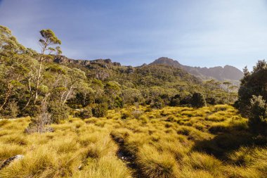 Rodway Gölü, Avustralya 'nın Tazmanya şehrinde sıcak bir sonbahar sabahı Beşik Dağı' nın doğu yüzüne doğru bakıyor.
