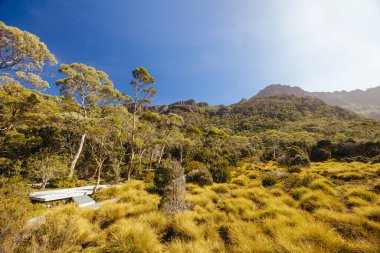 Cradle Dağı, Tazmanya, Avustralya 'da, sıcak bir sonbahar sabahı Rodway Gölü yakınlarındaki Scott Kilvert Memorial Hut' taki helikopter pisti ve kamp alanları.