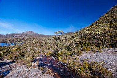 Scott Kilvert Memorial Hut yakınlarındaki Cradle Mountain, Tazmanya, Avustralya 'da sıcak bir sonbahar sabahı bulunan Rodway Gölü.