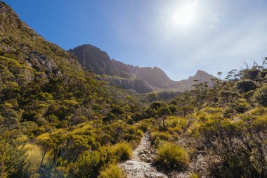Rodway Gölü, Avustralya 'nın Tazmanya şehrinde sıcak bir sonbahar sabahı Beşik Dağı' nın doğu yüzüne doğru bakıyor.