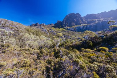 Rodway Gölü, Avustralya 'nın Tazmanya şehrinde sıcak bir sonbahar sabahı Beşik Dağı' nın doğu yüzüne doğru bakıyor.