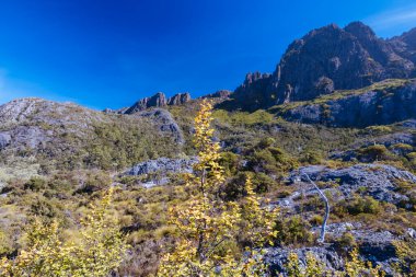 Rodway Gölü, Avustralya 'nın Tazmanya şehrinde sıcak bir sonbahar sabahı Beşik Dağı' nın doğu yüzüne doğru bakıyor.