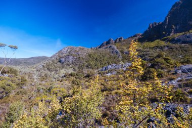 Rodway Gölü, Avustralya 'nın Tazmanya şehrinde sıcak bir sonbahar sabahı Beşik Dağı' nın doğu yüzüne doğru bakıyor.