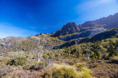 Rodway Gölü, Avustralya 'nın Tazmanya şehrinde sıcak bir sonbahar sabahı Beşik Dağı' nın doğu yüzüne doğru bakıyor.