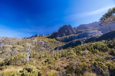 Rodway Gölü, Avustralya 'nın Tazmanya şehrinde sıcak bir sonbahar sabahı Beşik Dağı' nın doğu yüzüne doğru bakıyor.