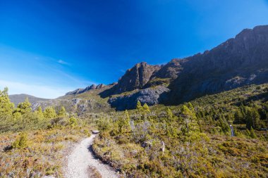 Rodway Gölü, Avustralya 'nın Tazmanya şehrinde sıcak bir sonbahar sabahı Beşik Dağı' nın doğu yüzüne doğru bakıyor.