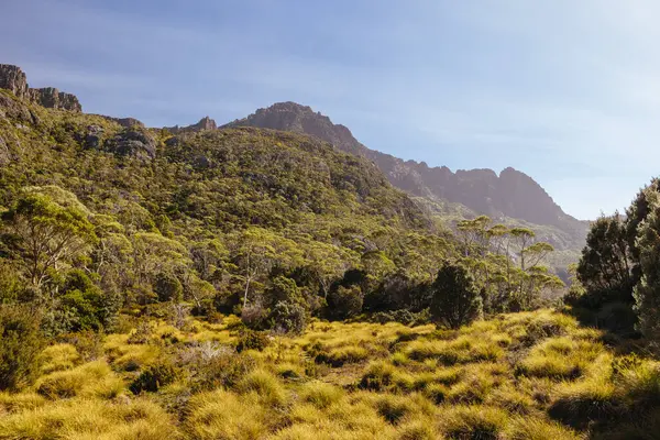 Rodway Gölü, Avustralya 'nın Tazmanya şehrinde sıcak bir sonbahar sabahı Beşik Dağı' nın doğu yüzüne doğru bakıyor.