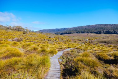 Waldheim Chalet ve Ronny Creek çevresindeki manzara Cradle Mountain, Tazmanya, Avustralya 'da bir sonbahar sabahı Overland Track' in başlangıcında görülüyor.