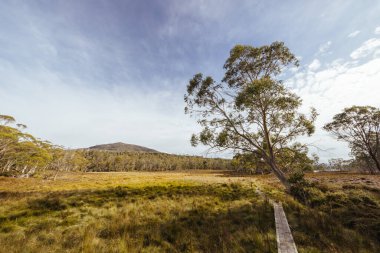 Öğleden sonra, Tazmanya, Avustralya 'daki Overland Pisti yakınlarındaki Pelion kulübesi yakınlarındaki Arm River Pisti' nde öğleden sonra manzarası.
