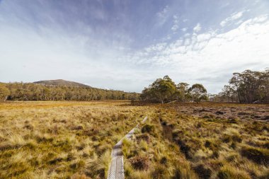 Öğleden sonra, Tazmanya, Avustralya 'daki Overland Pisti yakınlarındaki Pelion kulübesi yakınlarındaki Arm River Pisti' nde öğleden sonra manzarası.