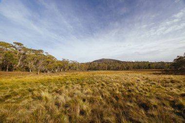Öğleden sonra, Tazmanya, Avustralya 'daki Overland Pisti yakınlarındaki Pelion kulübesi yakınlarındaki Arm River Pisti' nde öğleden sonra manzarası.