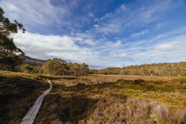 Öğleden sonra, Tazmanya, Avustralya 'daki Overland Pisti yakınlarındaki Pelion kulübesi yakınlarındaki Arm River Pisti' nde öğleden sonra manzarası.
