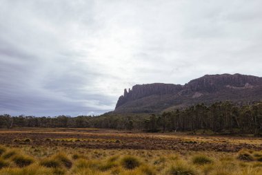 Öğleden sonra Oakleigh Dağı 'na doğru Pelion kulübesinin yakınındaki Arm Nehri Pisti' nde sıcak bir sonbahar öğleden sonra Tazmanya, Avustralya 'da.