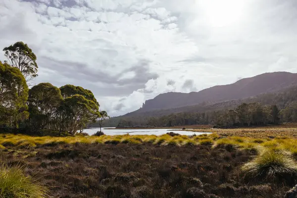 Tazmanya, Avustralya 'da sıcak bir sonbahar öğleden sonrasında Pelion kulübesi yakınlarındaki Arm Nehri Pisti üzerindeki Ayr Gölü çevresindeki öğleden sonra manzarası