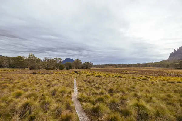 Öğleden sonra, Tazmanya, Avustralya 'daki Overland Pisti yakınlarındaki Pelion kulübesi yakınlarındaki Arm River Pisti' nde öğleden sonra manzarası.