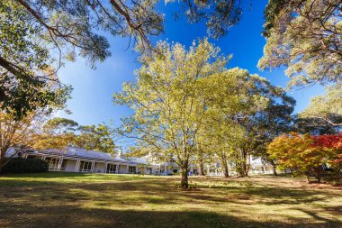 RED HILL, AUSTRALYA - 10 Mayıs 2025: Lancemore Lindenderry Red Hill binaları ve Avustralya 'nın Victoria kentindeki Mornington Yarımadası' nda sıcak bir sonbahar öğleden sonra çevresi