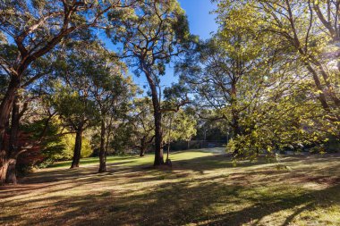 RED HILL, AUSTRALYA - 10 Mayıs 2025: Lancemore Lindenderry Red Hill binaları ve Avustralya 'nın Victoria kentindeki Mornington Yarımadası' nda sıcak bir sonbahar öğleden sonra çevresi