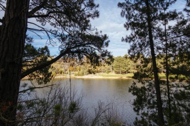 Popüler St Georges Gölü soğuk bir kış öğleden sonra Creswick, Victoria, Avustralya 'da