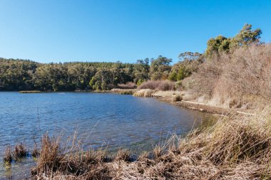 Popüler St Georges Gölü soğuk bir kış öğleden sonra Creswick, Victoria, Avustralya 'da