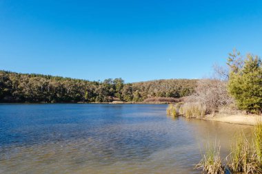 Popüler St Georges Gölü soğuk bir kış öğleden sonra Creswick, Victoria, Avustralya 'da