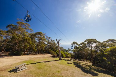 ARTHURS Koltuğu, AUSTRALIA - 10 Mayıs 2025: Arthurs Koltuk Kartalı tramvayı açık bir sonbahar gününde Mornington Yarımadası, Victoria, Avustralya