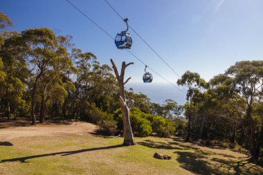 ARTHURS Koltuğu, AUSTRALIA - 10 Mayıs 2025: Arthurs Koltuk Kartalı tramvayı açık bir sonbahar gününde Mornington Yarımadası, Victoria, Avustralya