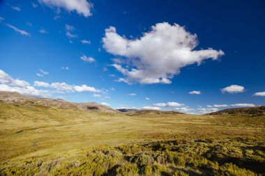 Öğleden sonra Kosciuszko Ulusal Parkı, Yeni Güney Galler, Avustralya 'daki Dead Horse Gap ve Thredo yakınlarındaki Cascade Hut Trail' de manzara.