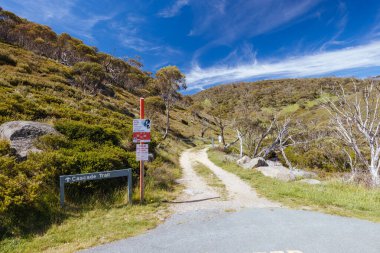 Öğleden sonra Kosciuszko Ulusal Parkı, Yeni Güney Galler, Avustralya 'daki Dead Horse Gap ve Thredo yakınlarındaki Cascade Hut Trail' de manzara.