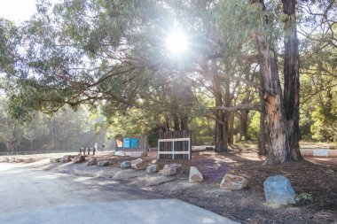 WARBURTON, AUSTRALYA - 20 Temmuz 2025: Warburton, Victoria, Avustralya 'da sıcak bir kış gününde Wesburn yakınlarındaki yepyeni Warburton Bisiklet Parkı' nda sürücü