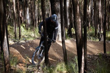 WARBURTON, AUSTRALYA - 20 Temmuz 2025: Warburton, Victoria, Avustralya 'da sıcak bir kış gününde Wesburn yakınlarındaki yepyeni Warburton Bisiklet Parkı' nda sürücü