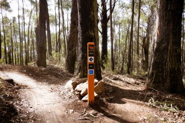 WARBURTON, AUSTRALYA - 20 Temmuz 2025: Warburton, Victoria, Avustralya 'da sıcak bir kış gününde Wesburn yakınlarındaki yepyeni Warburton Bisiklet Parkı' nda sürücü