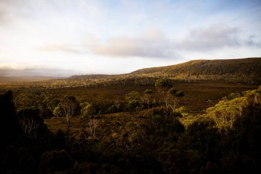Geniş manzara sabahın erken saatlerinde Beşik Dağı, Tazmanya, Avustralya 'da sıcak bir sonbahar sabahında Ahır Kayalıkları ve Alp fundalıkları manzarası görülür.