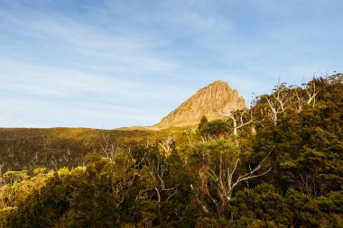 Geniş manzara sabahın erken saatlerinde Beşik Dağı, Tazmanya, Avustralya 'da sıcak bir sonbahar sabahı Ahır Kayalıkları ve alp fundalıklarının manzarasını gösterir.