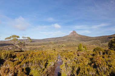 Sabahın erken saatlerinde Overland Track 'ten geniş manzara manzarası ve Cradle Mountain, Tazmanya, Avustralya yakınlarındaki Alp Dağları bitkileri