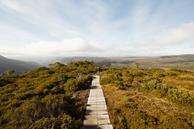 Sabahın erken saatlerinde Overland Track 'ten geniş manzara manzarası ve Cradle Mountain, Tazmanya, Avustralya yakınlarındaki Alp Dağları bitkileri