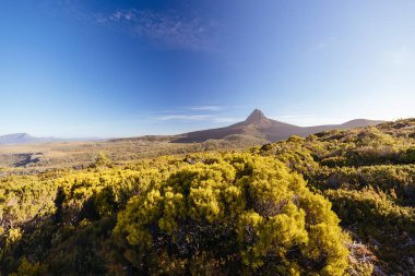 Barn Bluff 'un günbatımında geniş manzara manzarası ve dağ roketi de dahil olmak üzere Alp çalılıkları Cradle Mountain, Tazmanya, Avustralya' da sıcak bir sonbahar akşamında görülür.