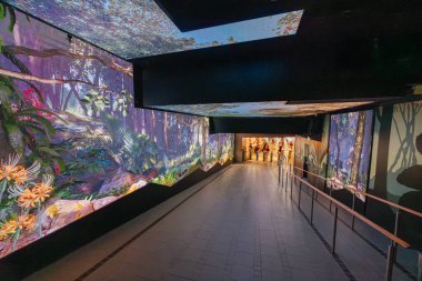 HONG KONG, ÇİN - 29 EYLÜL 2024: Hong Kong, Çin 'deki Hong Kong Adası' ndaki Lugard Bulvarı yakınlarındaki Tepe Tramvayı